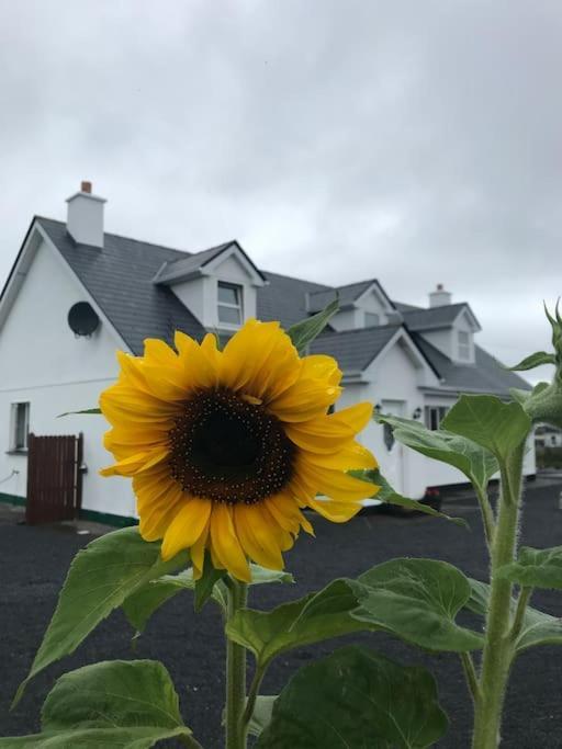 Curlews Rest - Gateway To The Aran Islands Appartement Galway Buitenkant foto