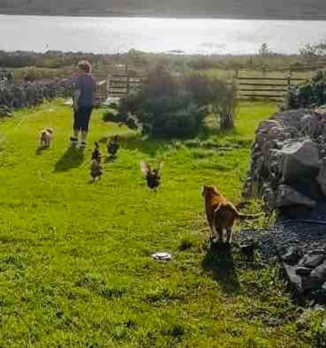 Curlews Rest - Gateway To The Aran Islands Appartement Galway Buitenkant foto