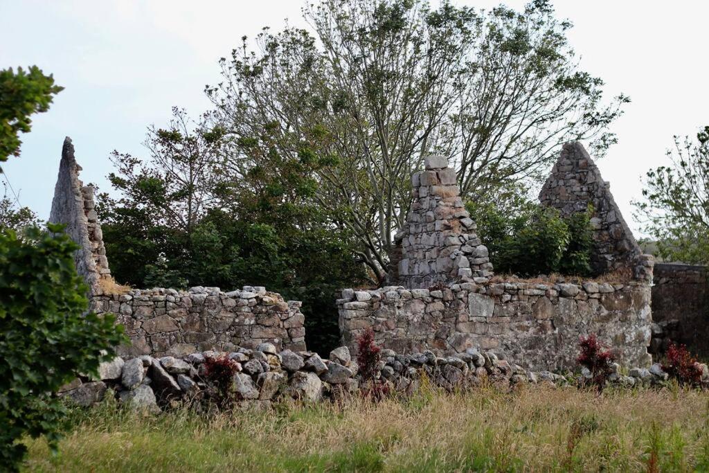 Curlews Rest - Gateway To The Aran Islands Appartement Galway Buitenkant foto
